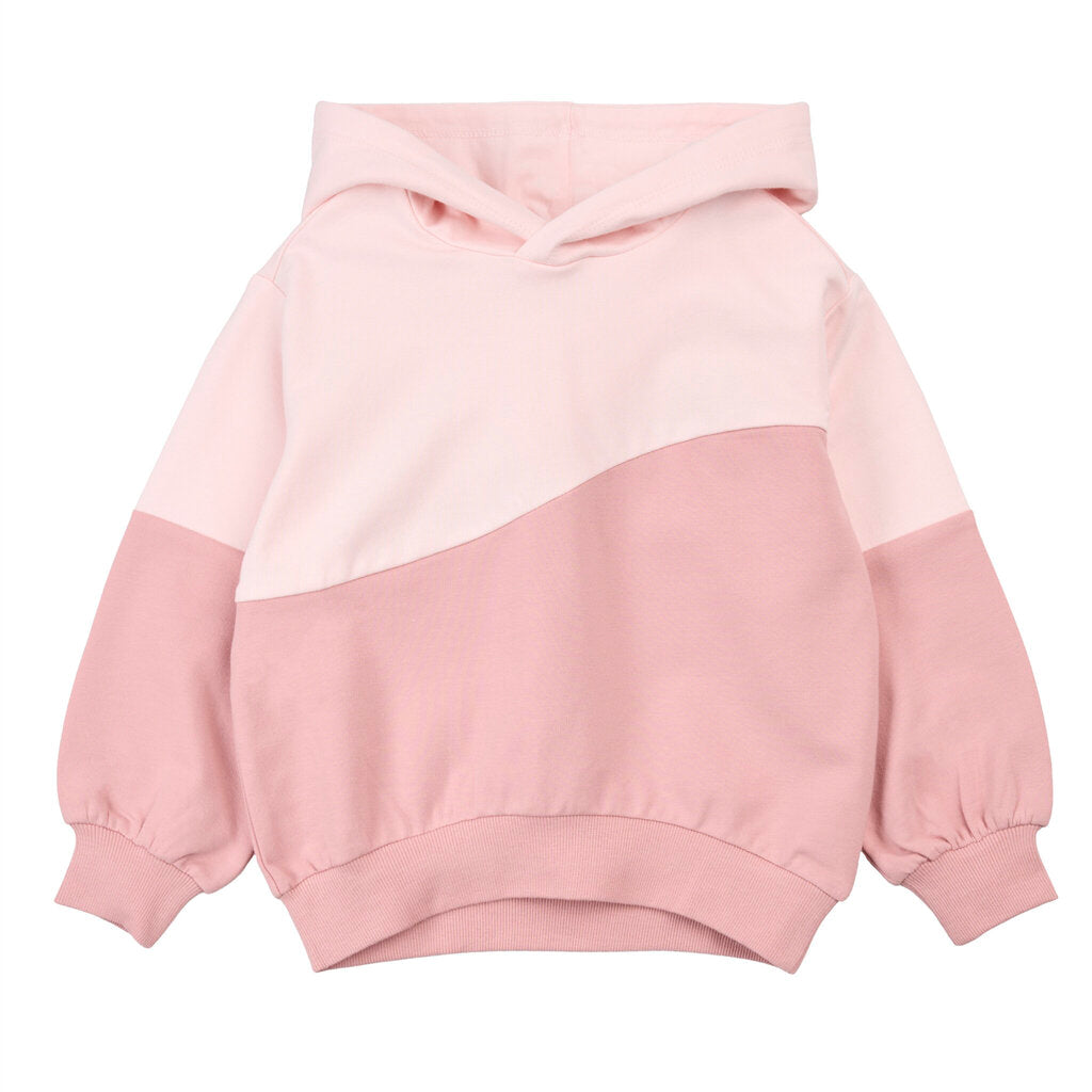 Hooded Sweatshirt + Pants Set Girl