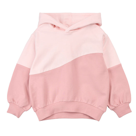 Hooded Sweatshirt + Pants Set